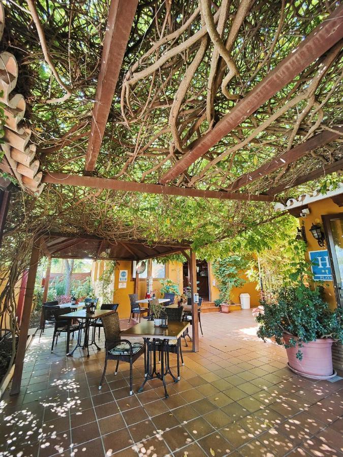 Hotel Donana Blues Matalascañas Exterior foto