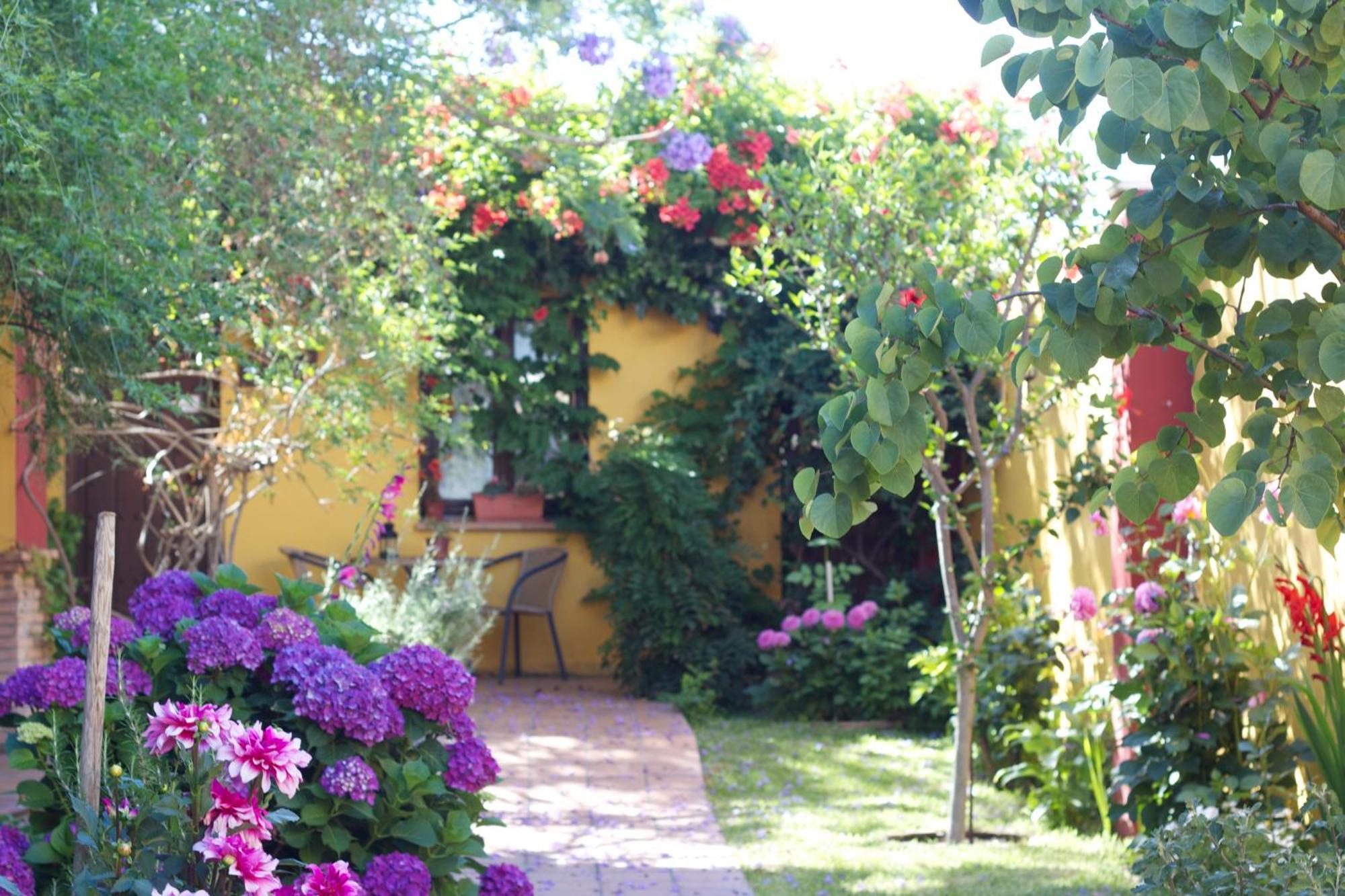 Hotel Donana Blues Matalascañas Exterior foto